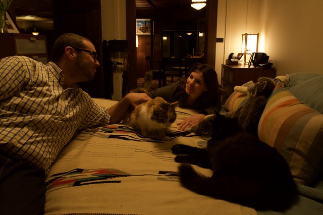 Couple and Cats Share a Cozy Evening at Home