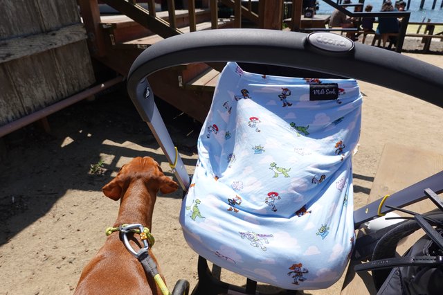 Dog Resting Beside Baby Stroller Outdoors