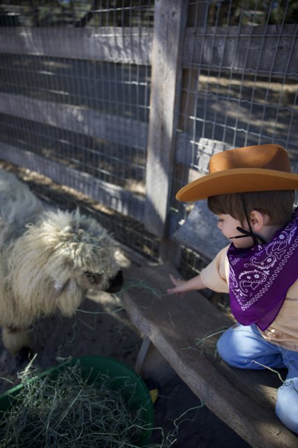 Little Cowboy and the Woolly Friend