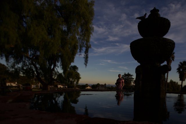 Sunset Silhouette at the Mission's Fountain