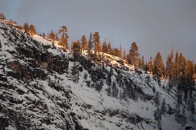 Golden Hour Light on Snow-Covered Sierra Nevada Ridge