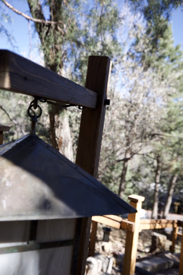 Rustic Bell Tower Against Ponderosa Pines in New Mexico