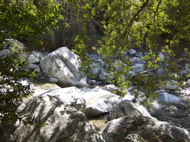 Tranquil Creek in the Wilderness