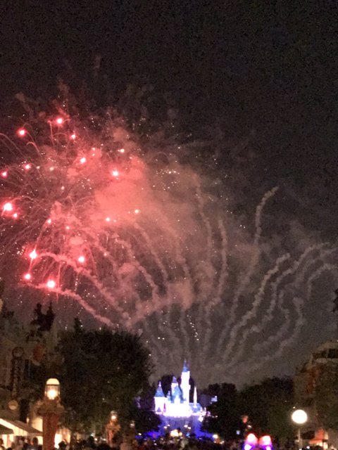 Night Sky Illuminated by Disneyland Fireworks