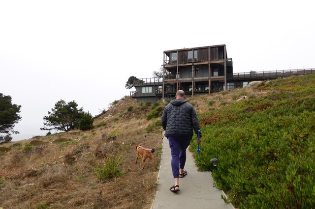 Coastal Walk with Dog on Hillside Trail