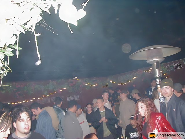 Smoke-filled Nightclub Party