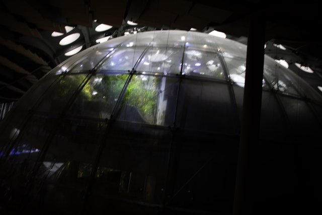 The Majestic Glass Dome at California Academy of Sciences
