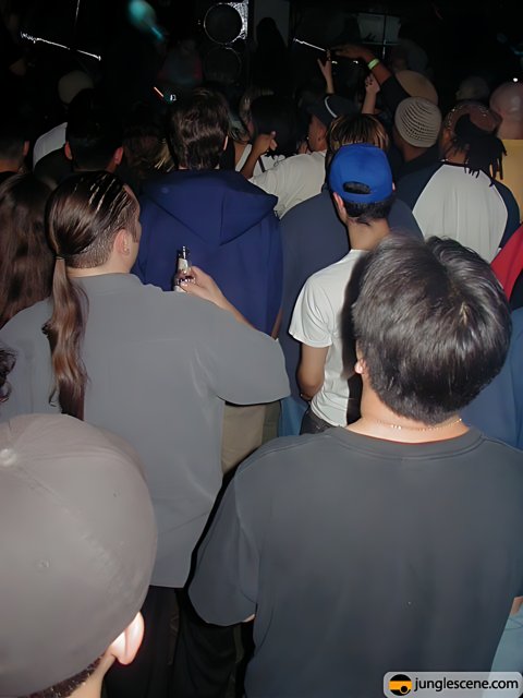 Nightclub Crowd Watches Performers on Stage