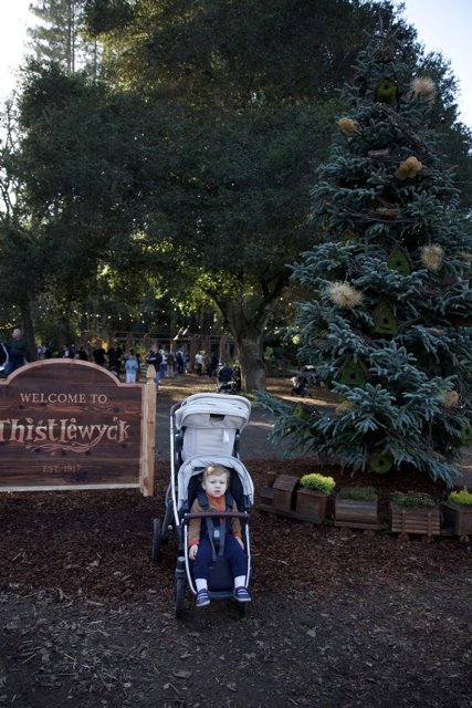 A Stroll Through Thistlewyck