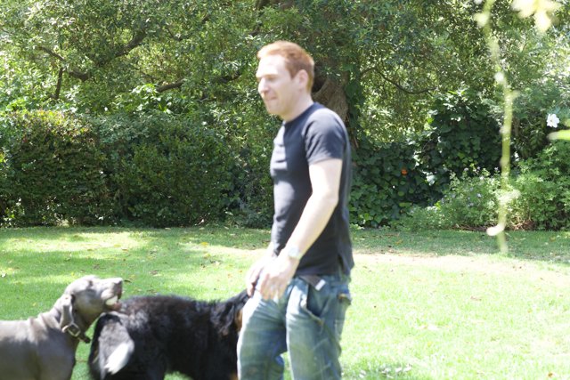 Man and his Furry Companions on a Walk in the Park