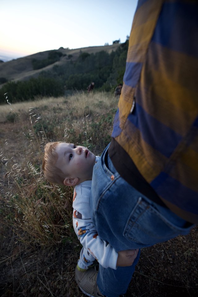 Small Boy Gazes Up at Parent on Hillside at Dusk