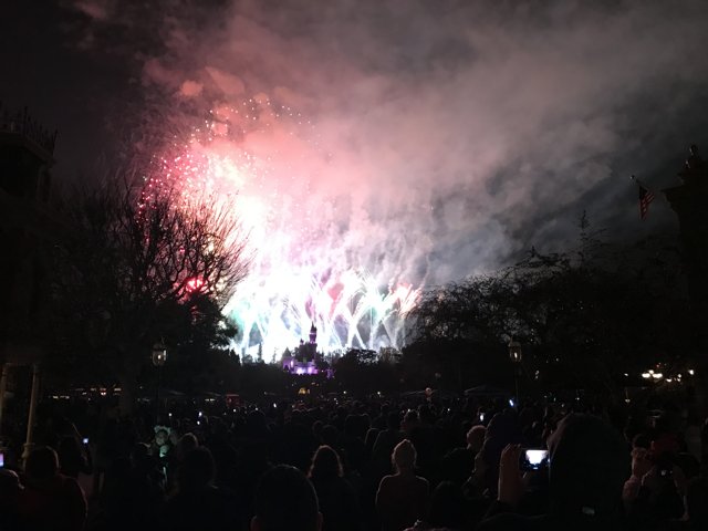 Spectacular Disneyland Fireworks Show