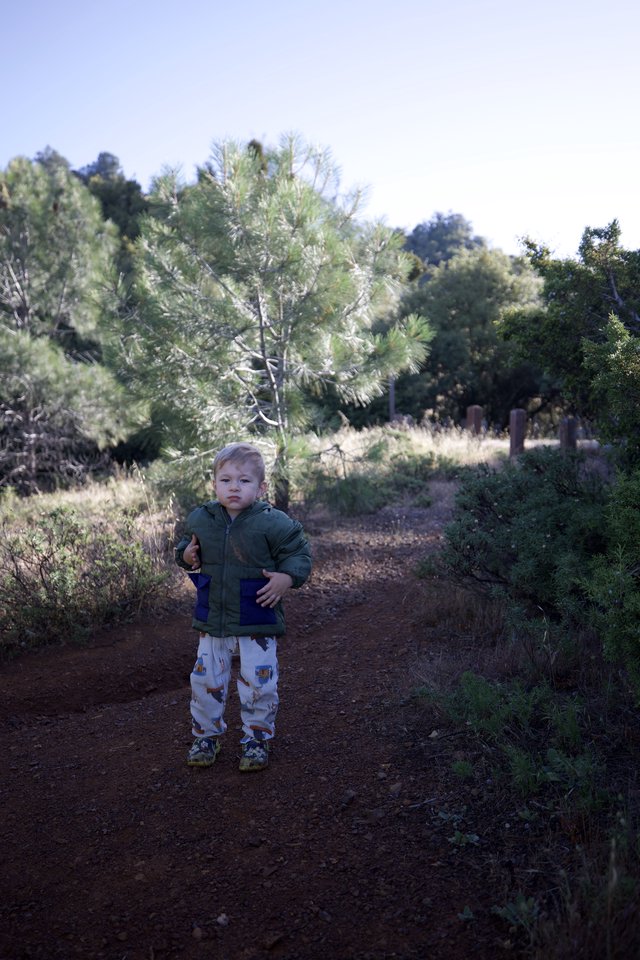 Toddler Explorer on Dusty Trail at Mount Diablo