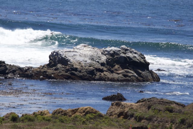 Coastal Serenity in Cayucos