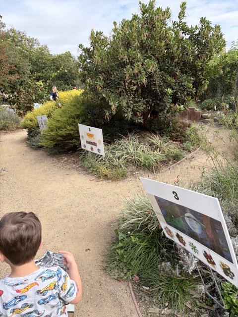 Strolling Through Nature's Art Gallery