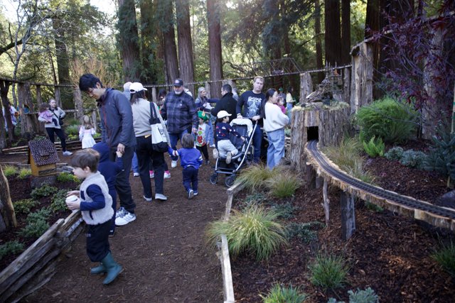 Exploring Thistlewyck's Enchanted Woodland