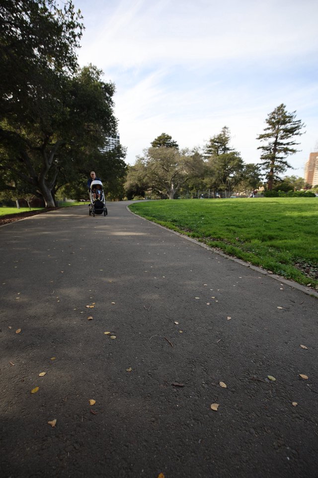 Peaceful Park Path with Parent and Stroller