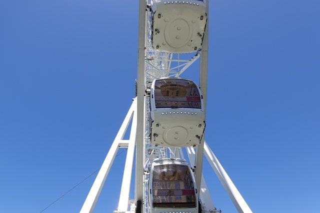 Fun at the Ferris Wheel