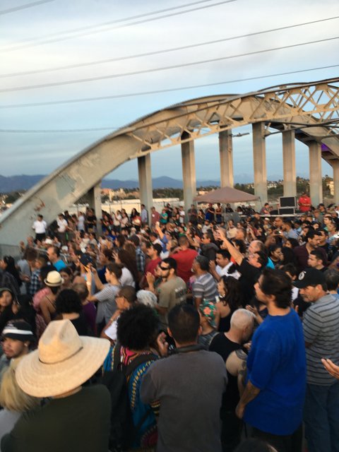 Bridge Crowd