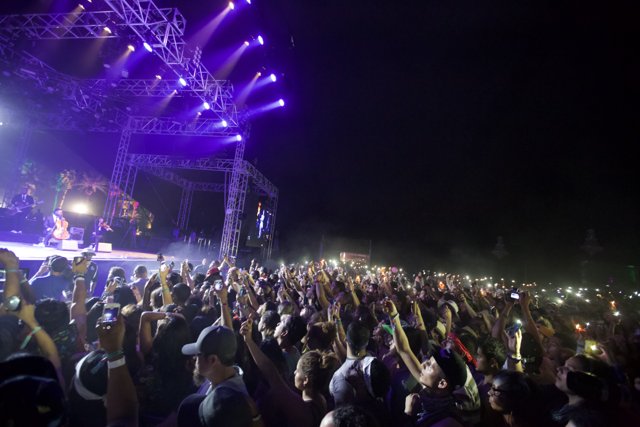 Illuminated crowd at Coachella concert