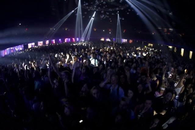 Lights and Crowd at the Concert