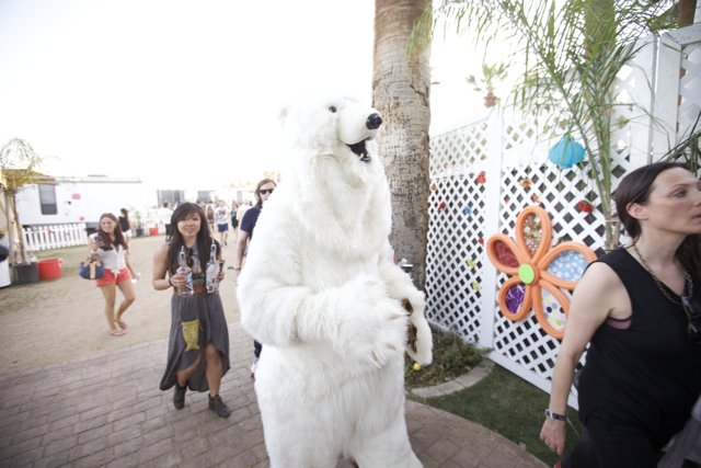 The Polar Bear in a Suit