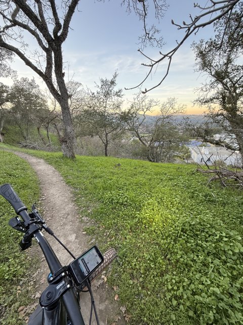 Trailside Tranquility