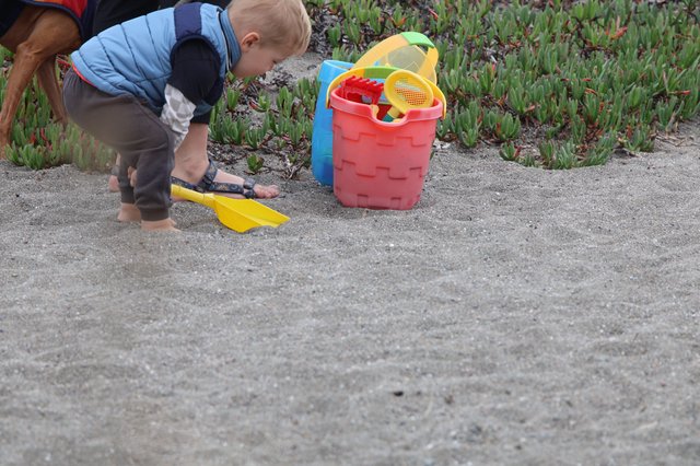 Toddler Explores Sandy Beach with Colorful Toys