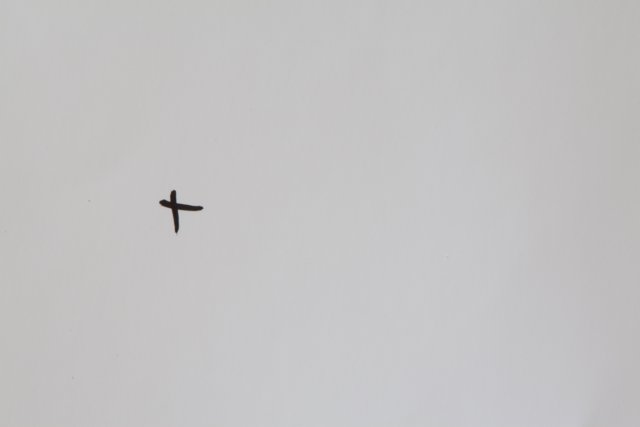 The Flying Cross