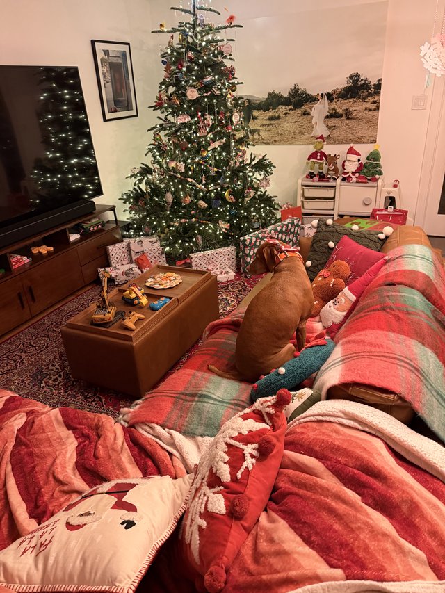 Cozy Christmas Morning in a Festive Living Room
