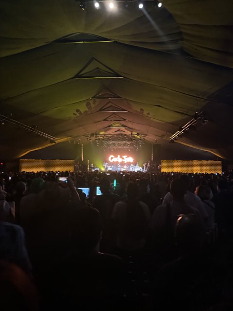 Electric Vibes Under Desert Skies