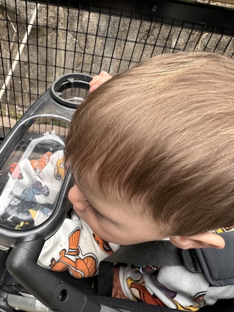 Reflections: A Baby's Adventure at the Oakland Zoo