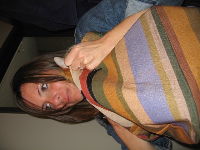 Previous