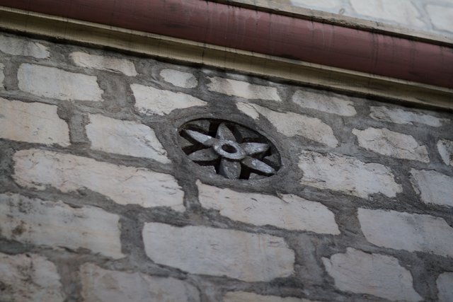 Flower on a Monastery Wall
