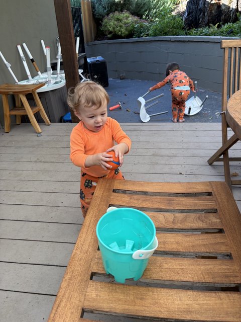 Backyard Adventures