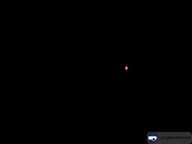 Red Dot on a Black Screen