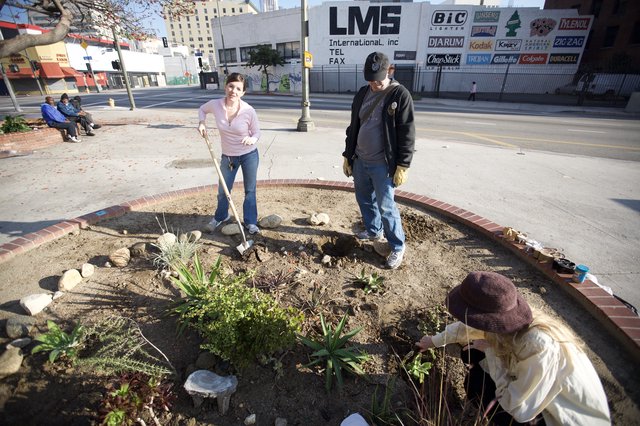 Community Volunteers Revitalize Urban Street Corner Garden