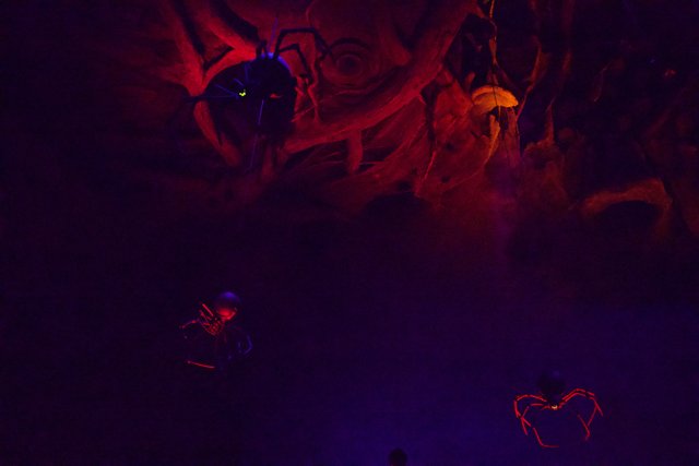 A Magical Night Under the Sea at Disneyland