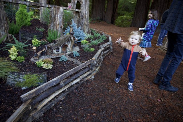 Woodland Wanderers