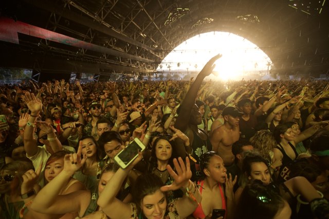 Crowd Goes Wild at 2017 Coachella Concert