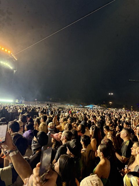 Electric Night Under the Stars