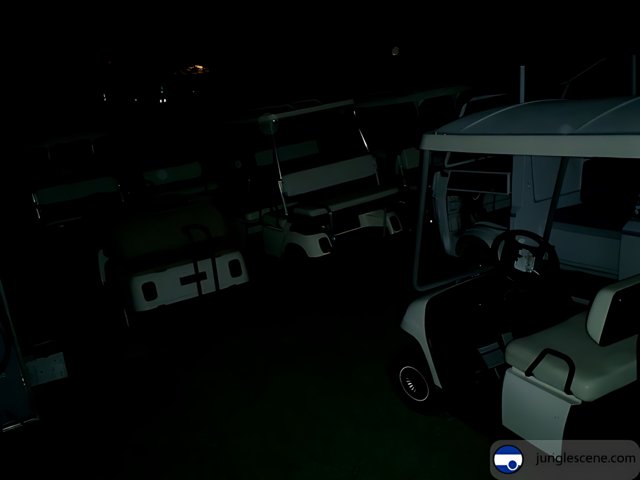 Golf Carts at Midnight