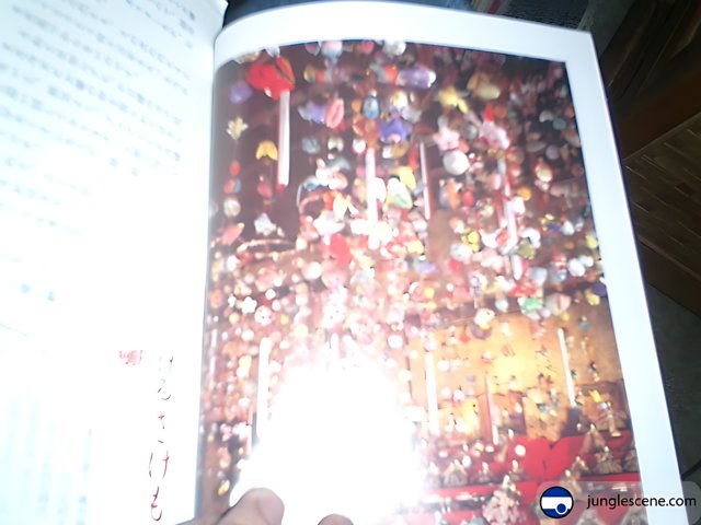 Chinese Temple Book
