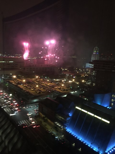 A Metropolis Lit Up by Pyrotechnics: New Year's Eve Fireworks in Las Vegas