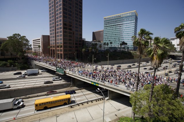Mayday Rally Takes Over Freeway in Urban Metropolis