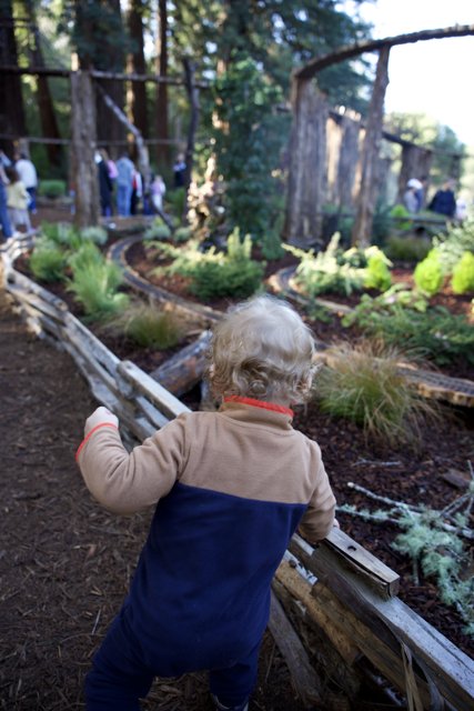 Young Explorer Discovers Thistlewyck at Filoli Gardens