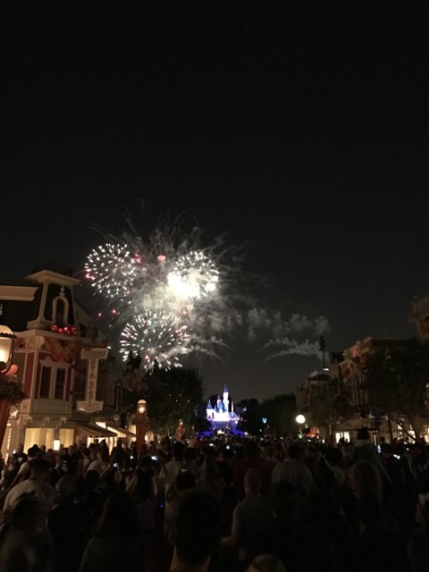 Spectacular Fireworks at Disneyland