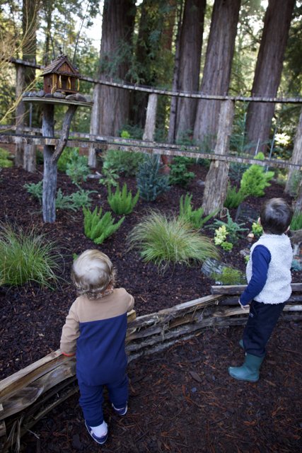 Exploring Nature's Playground
