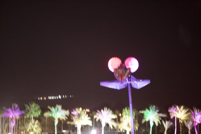 Illuminated Palm Trees
