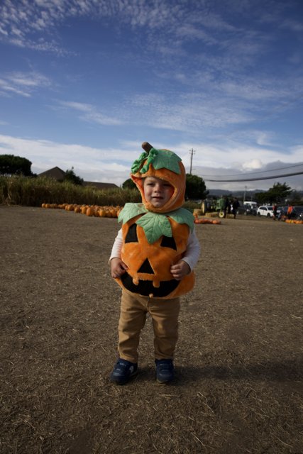 Pumpkin Kid Delight at the 2023 Halfmoon Bay Festival